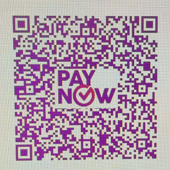paynow